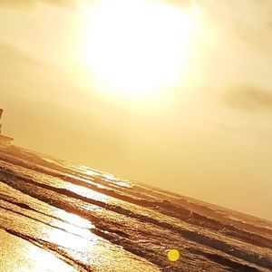 Meet your Posher, Bernie